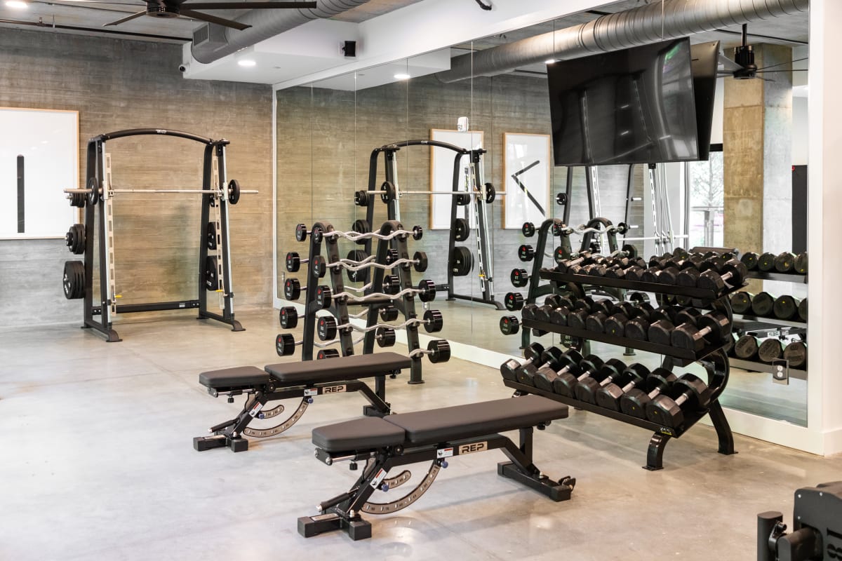 The Argos Apartments Apartments in Atlanta, GA RENTCafe